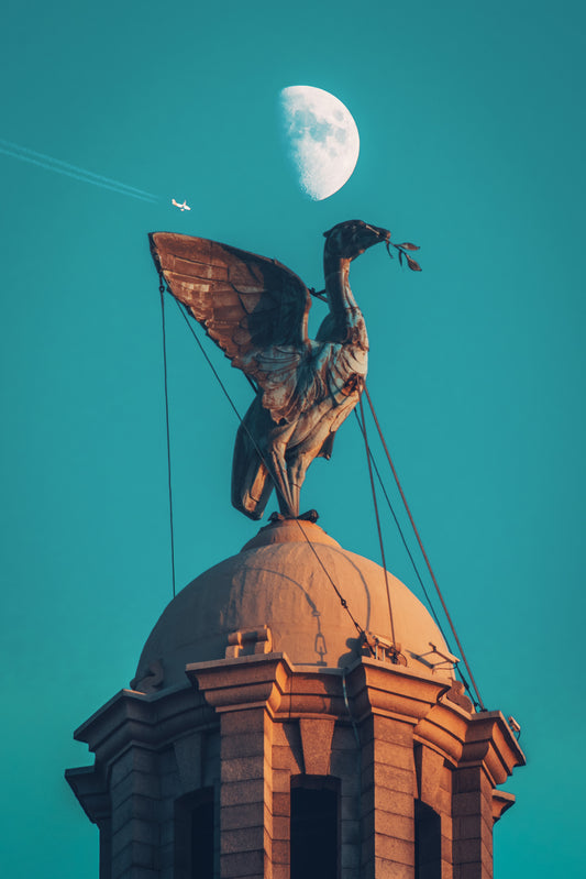 Lunar Liver Bird