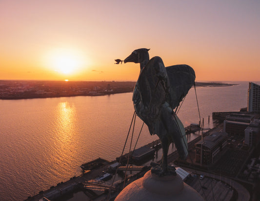 Liver Bird Sunset