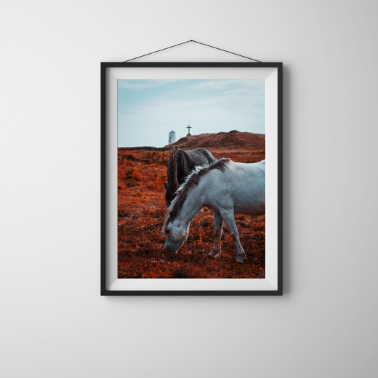 Llanddwyn Island Anglesey