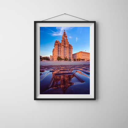 Liver Building Reflection