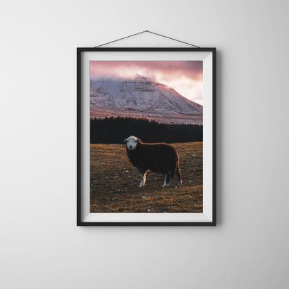 Ingleborough Yorkshire