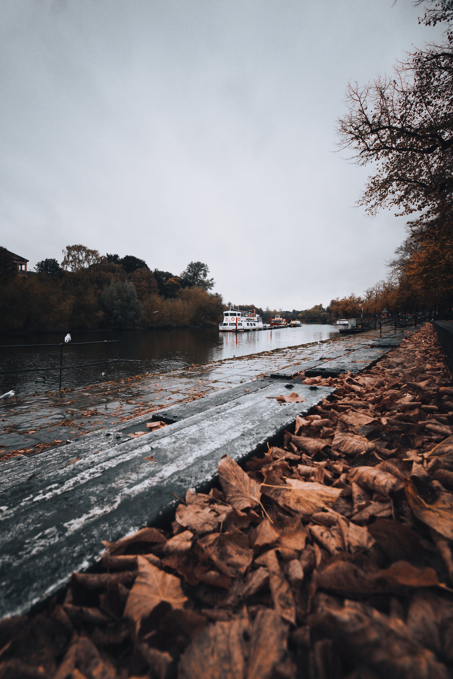 River Dee Autumn