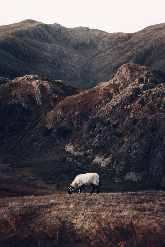 The Old Man of Coniston