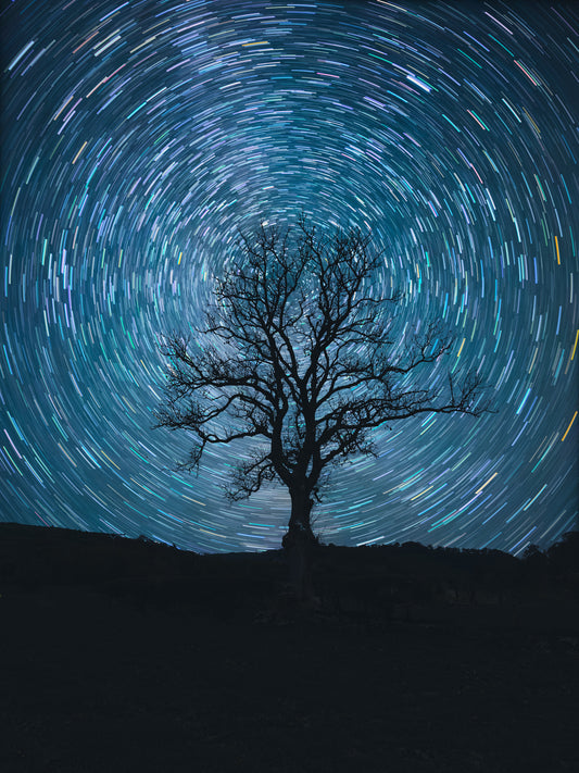 Startrails