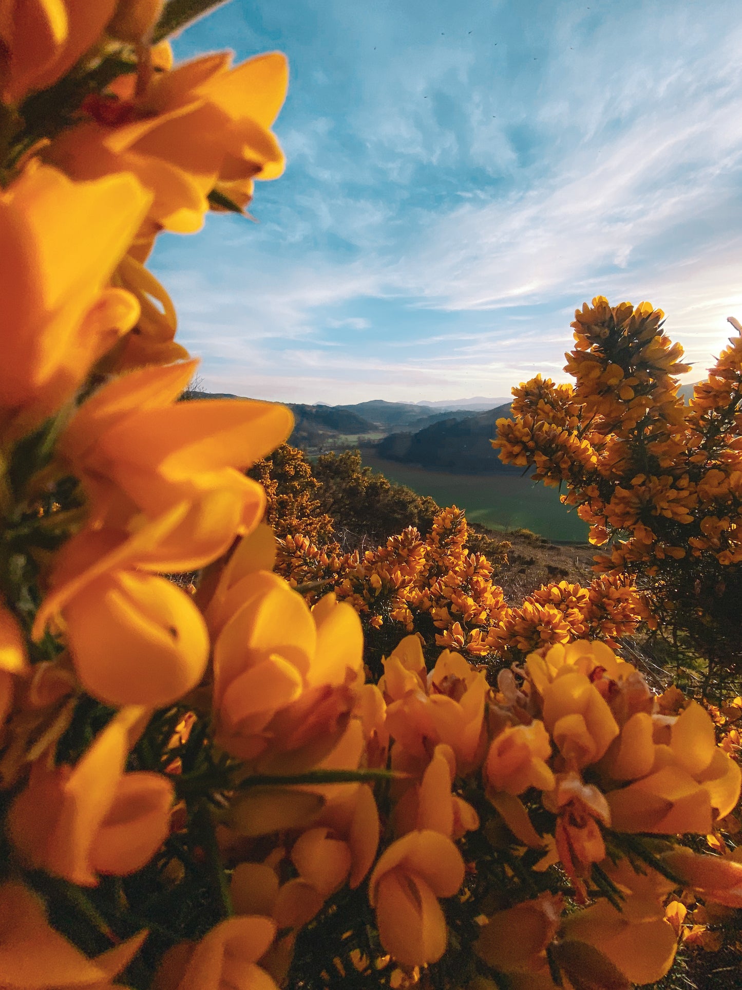 North Wales Sunset