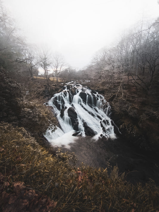 Swallow Falls (Rhaeadr Ewynnol)