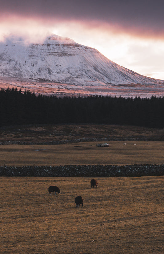 Ingleborough - Yorkshire