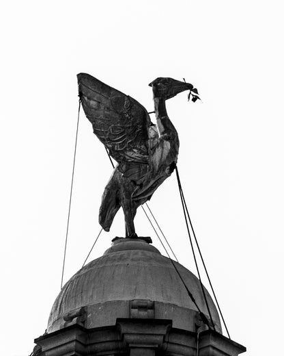 B&W Liverpool