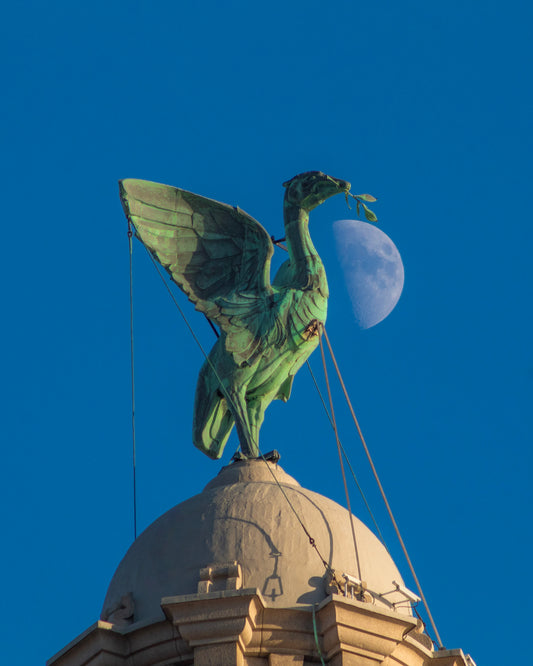 Royal Liver Building - Day Moon