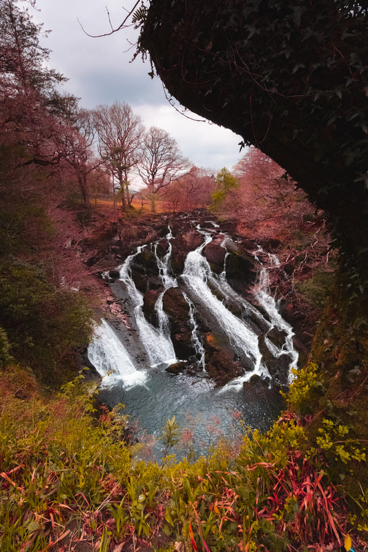 Swallow Falls (Rhaeadr Ewynnol)