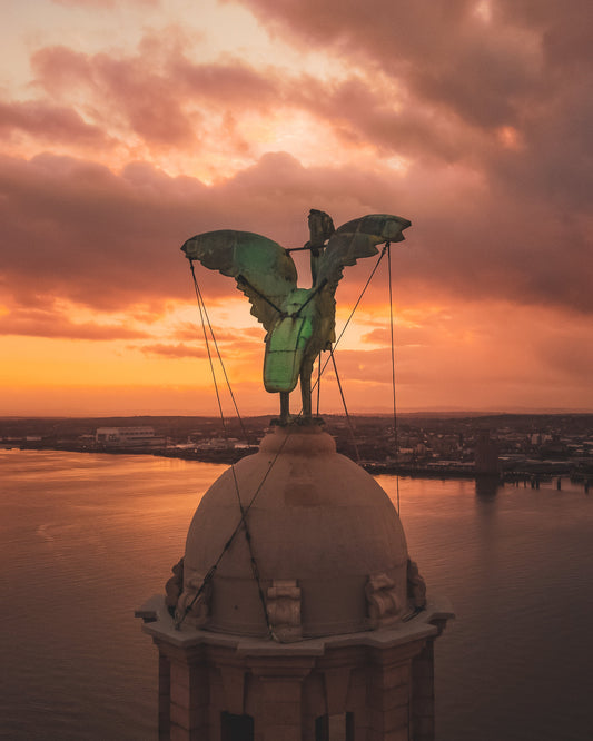 Liver Bird Sunset