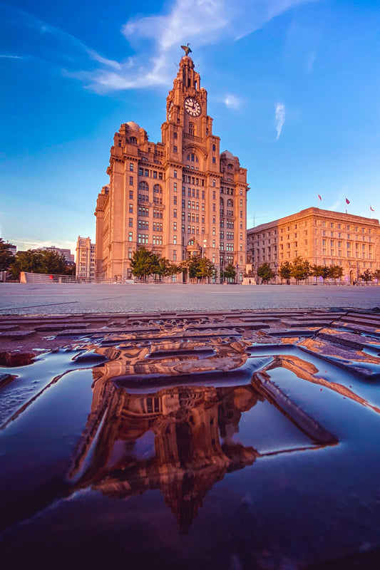 Liver Building Reflection