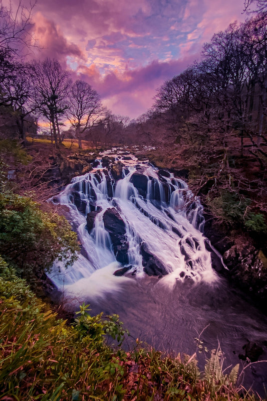 Swallow Falls (Rhaeadr Ewynnol)