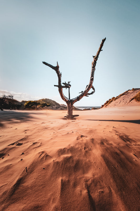 Formby Beach