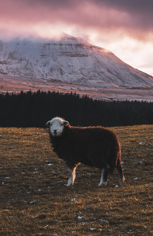 Ingleborough Yorkshire